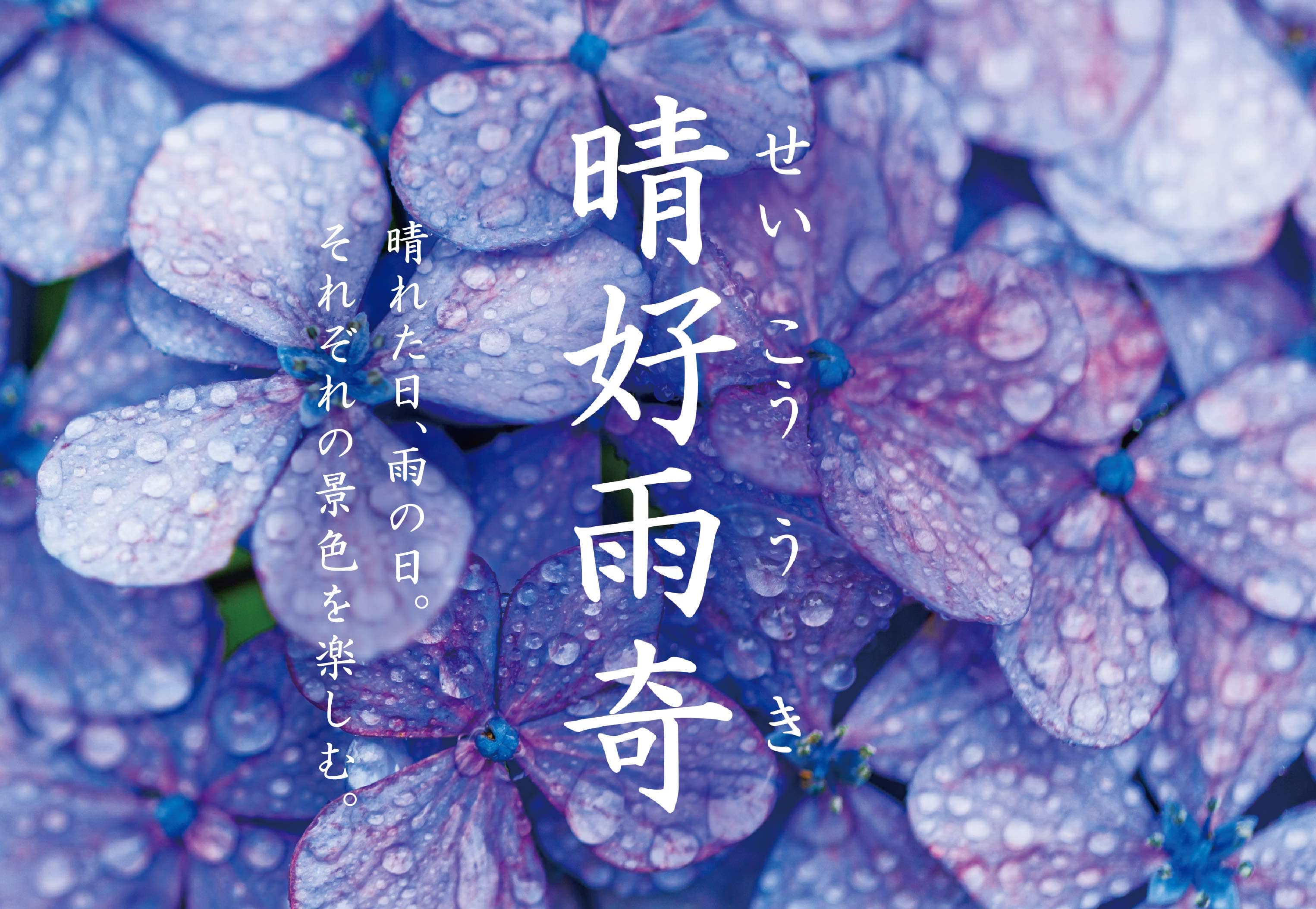 S-006-2 文玩 天然野生 海南虫漏 老料 沈香 ネックレス