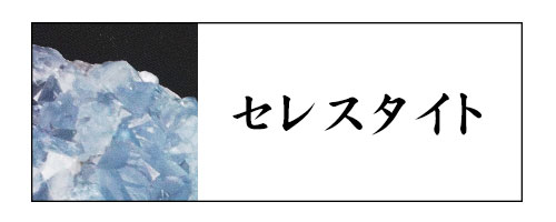 �Z���X�^�C�g