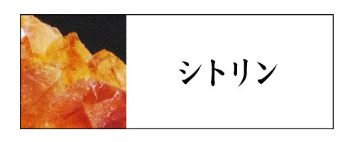 �V�g����