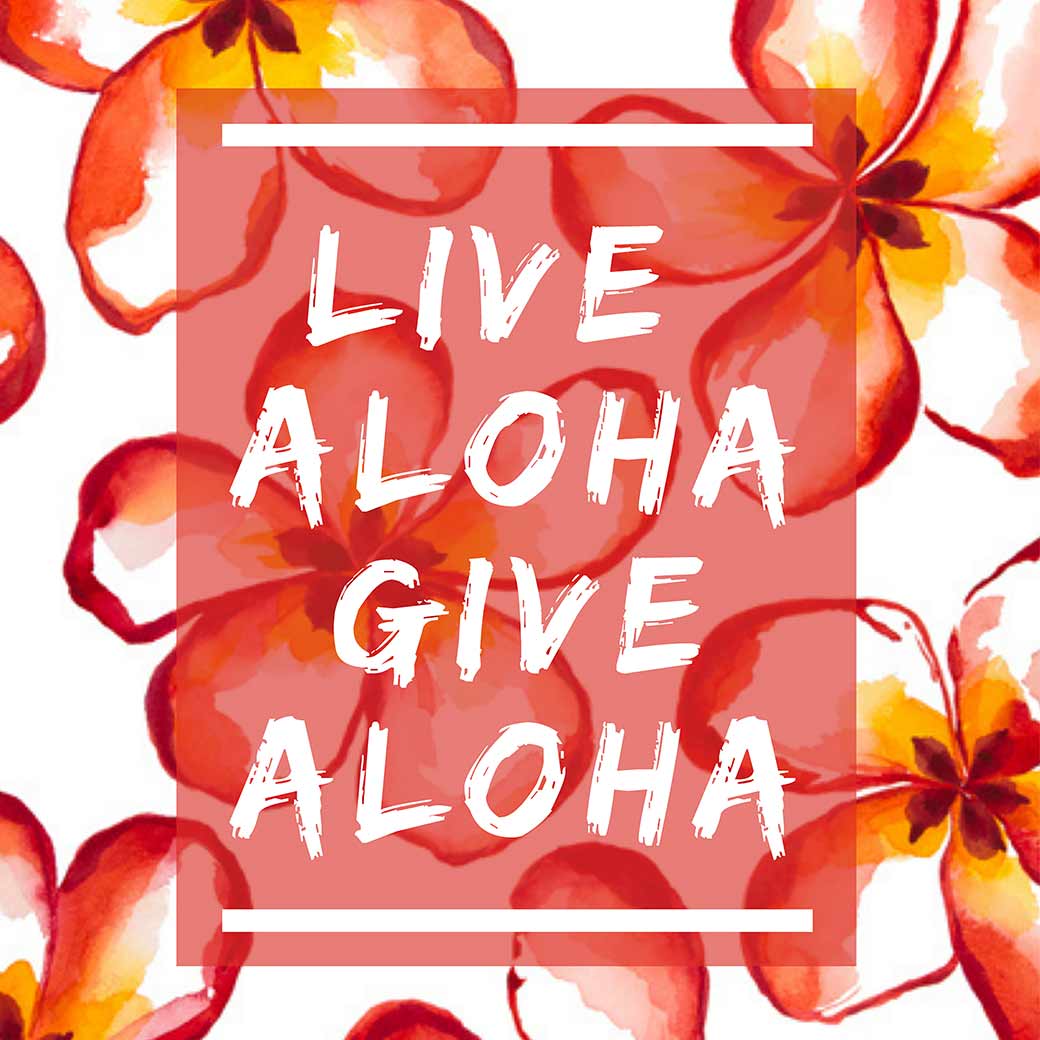 LIVE ALOHA GIVE ALOHA PROJECT `eB[