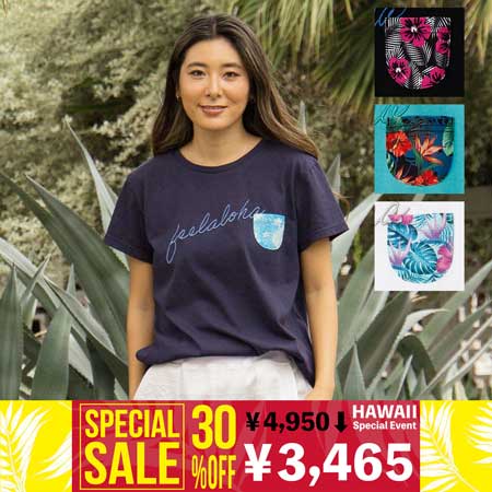 �yUV�J�b�g�f�ށz�G�P�A�zT�V���c