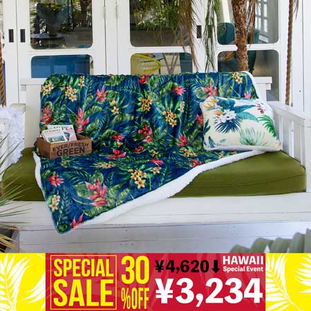 �v�A���j�u�����P�b�gL