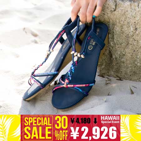 �r�W���[�i�T���_��