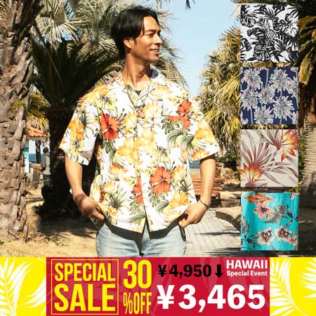 �J�C���A�����Y�A���n�V���c