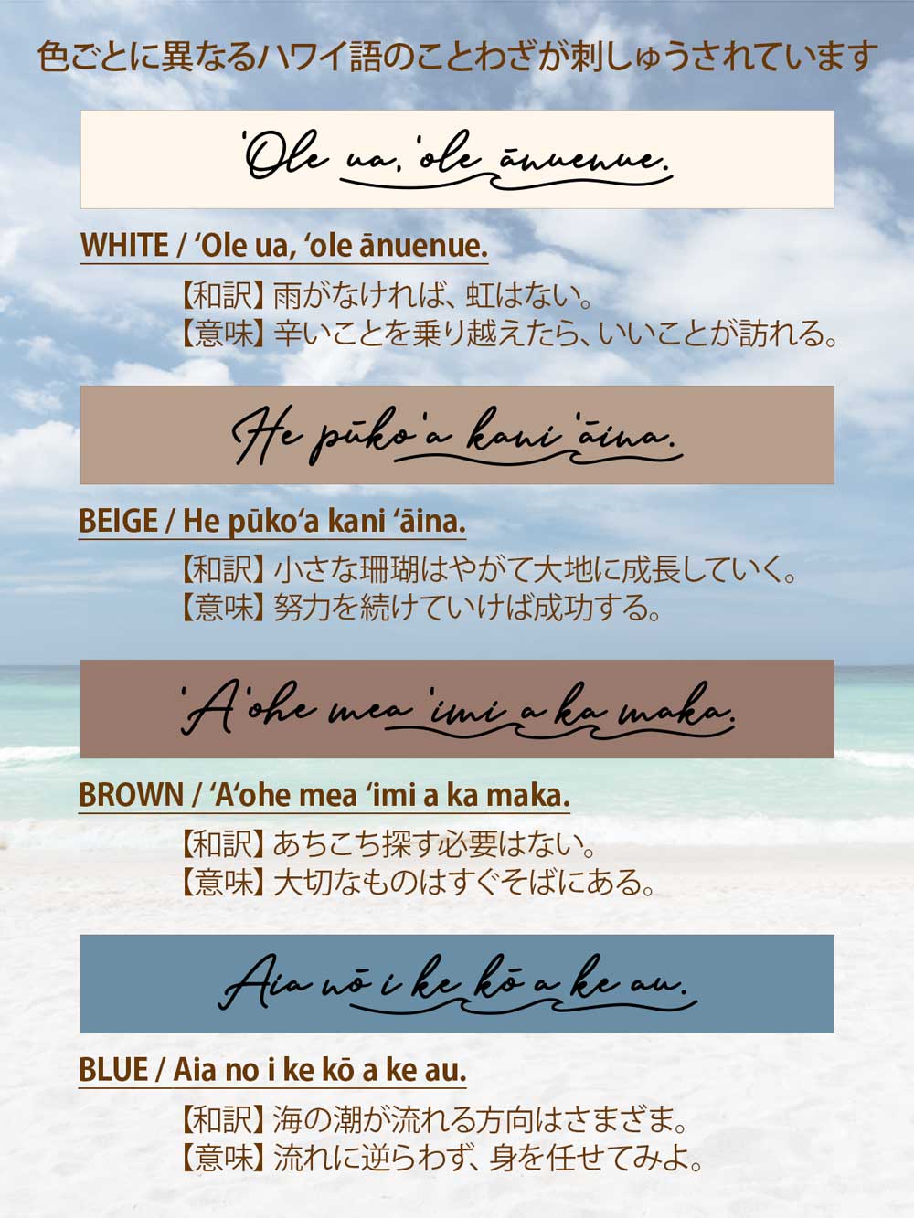 イイニシリーズ ことわざ