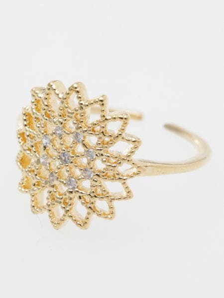 �T�[�N�����`�[�t�X�J�V�����O