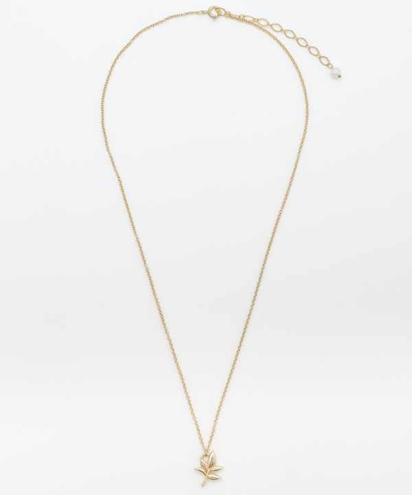 �_�Ѓl�b�N���X�@�S�[���h