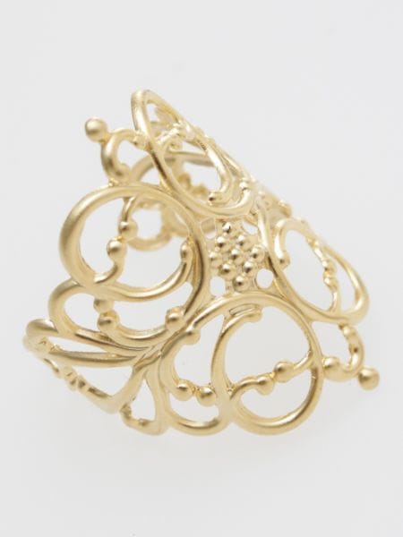 �X�J�V�n�o�����O