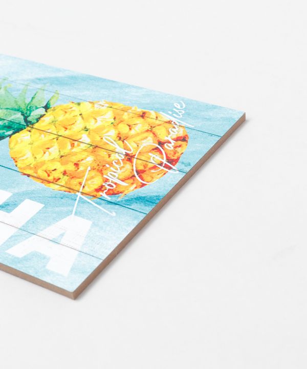 �A���n�T�C���{�[�h�r