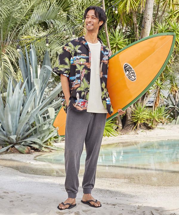 �s�n���C���A���t�E�b�h�{�[�h�A���n�����Y�V���c