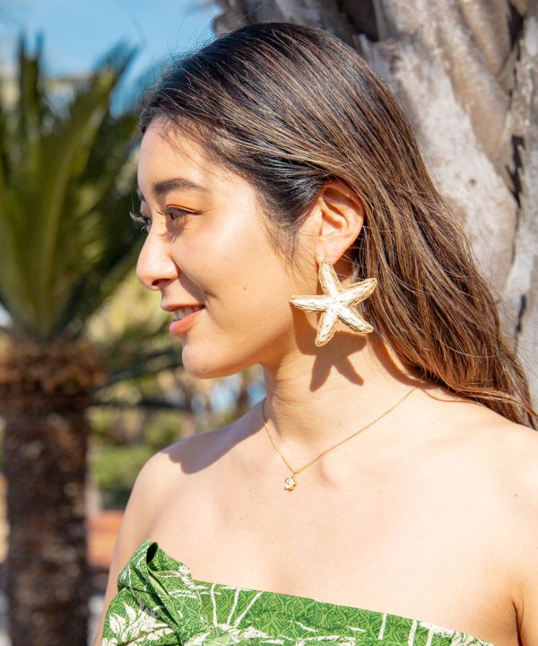 �J�z�N�J�C�s�A�X