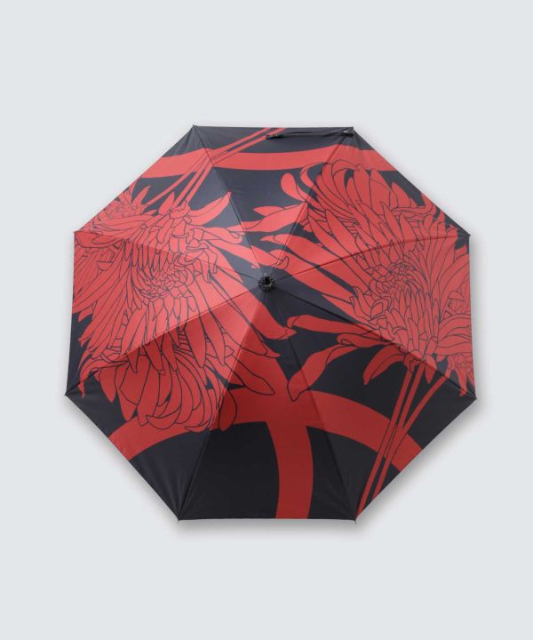 �ԉe���P�y���J���p�E�Ռ���99.99%�z