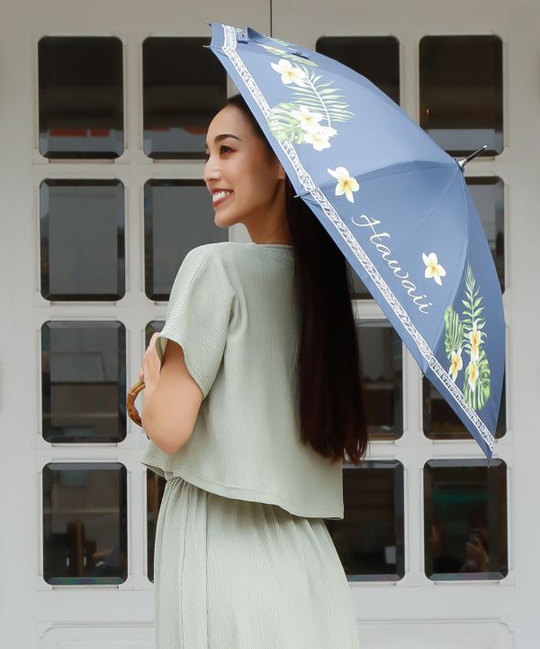 �y�Ռ���99.99%�ȏ�z�P�n�E���j�P�i���J���p�j