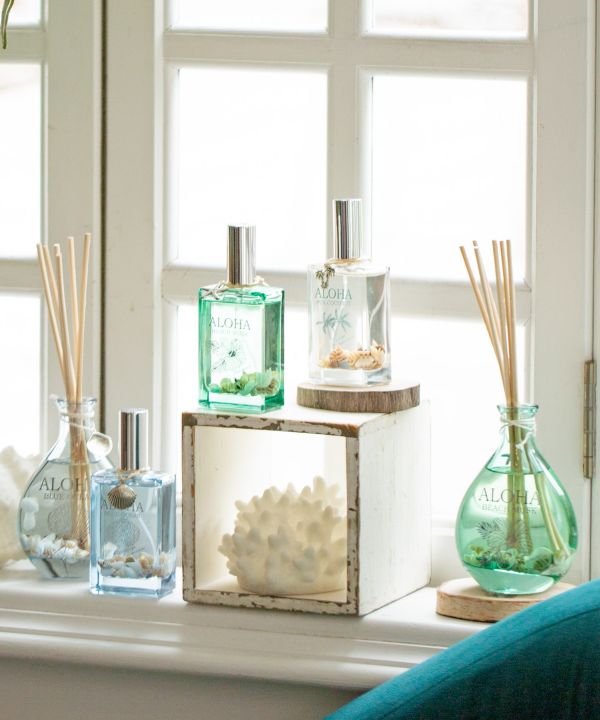 �v�v�i���f�B�t���[�U�[