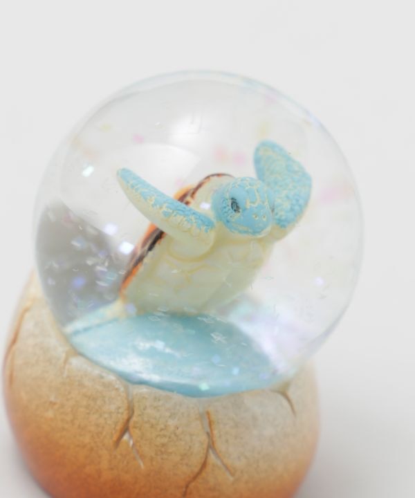 �X�C���z�k�X�m�[�h�[���r