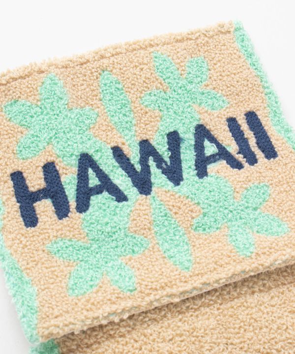 �n���C�L���e�B���[���y�[�p�[�z���_�[