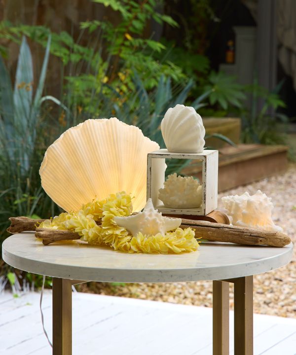 ���m�V�F�������v �r