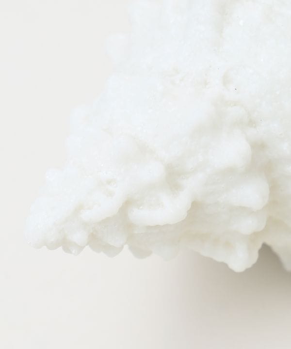 ���m�v�v�V�F�������v �r