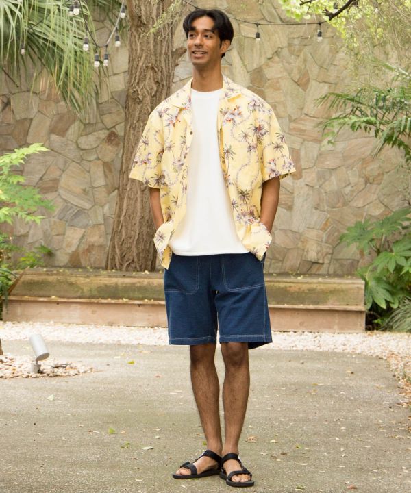 �s�n���C���A���t�n�C�r�p�[���A���n�����Y�V���c