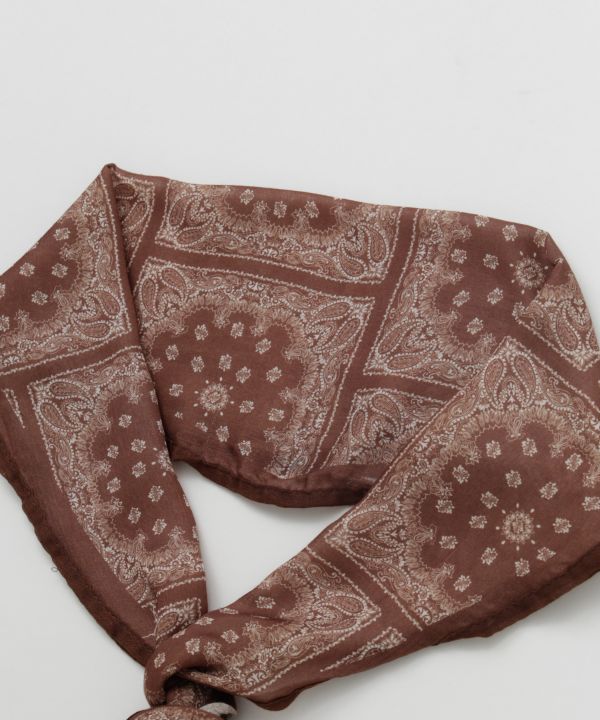 �o���f�B�X�g�[��