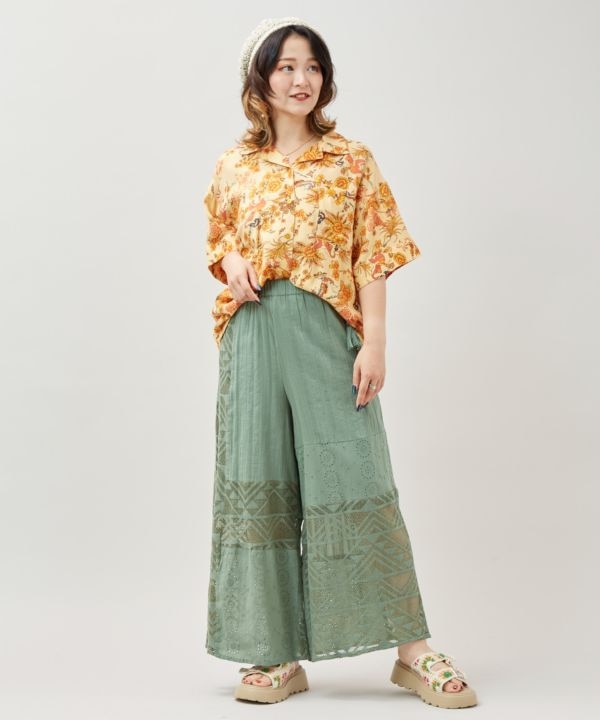 �{�w�N�����J�݃V���c