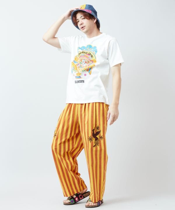 �q�s�x�������YT�V���c�yAmina×grn�z