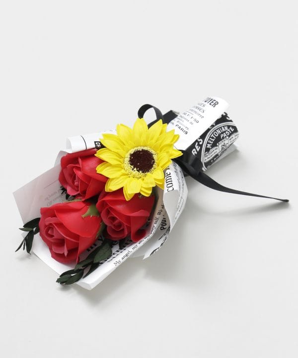 �t���[�u�[�P