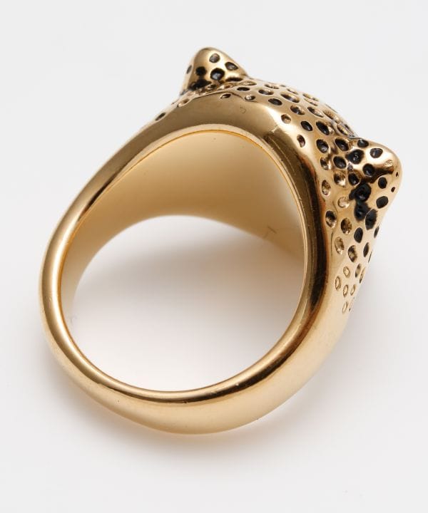 �����Y�W���K�[�����O