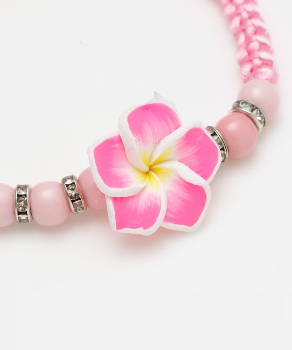 �v�����A�~�u���X