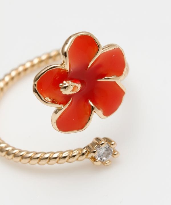 �A���A�����m�g�D�[�����O