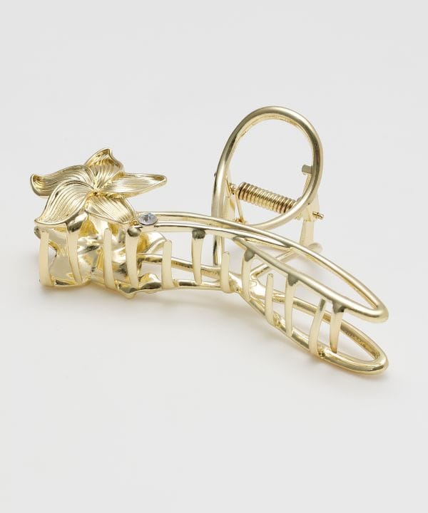 �v�A���w�A�N���b�v