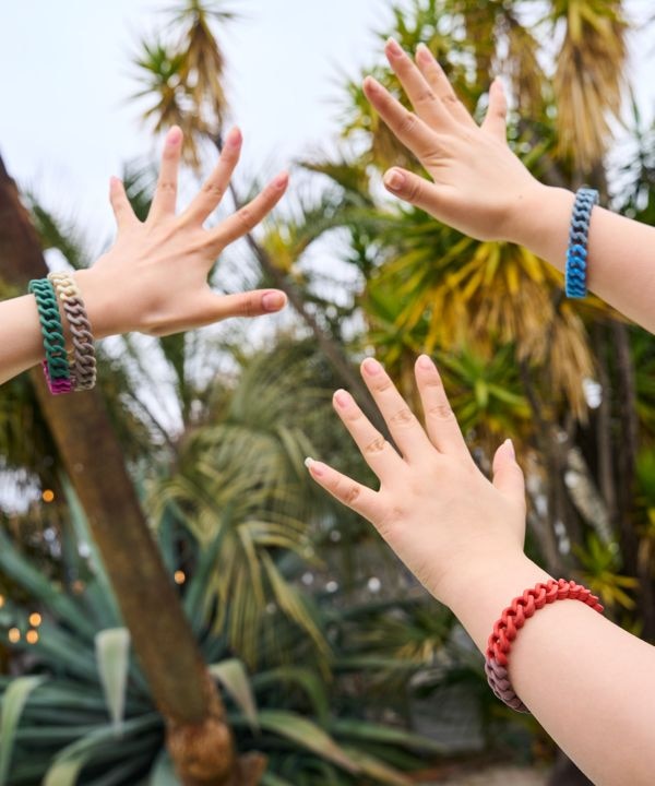 �y�������z���X�L�[�m���u���X