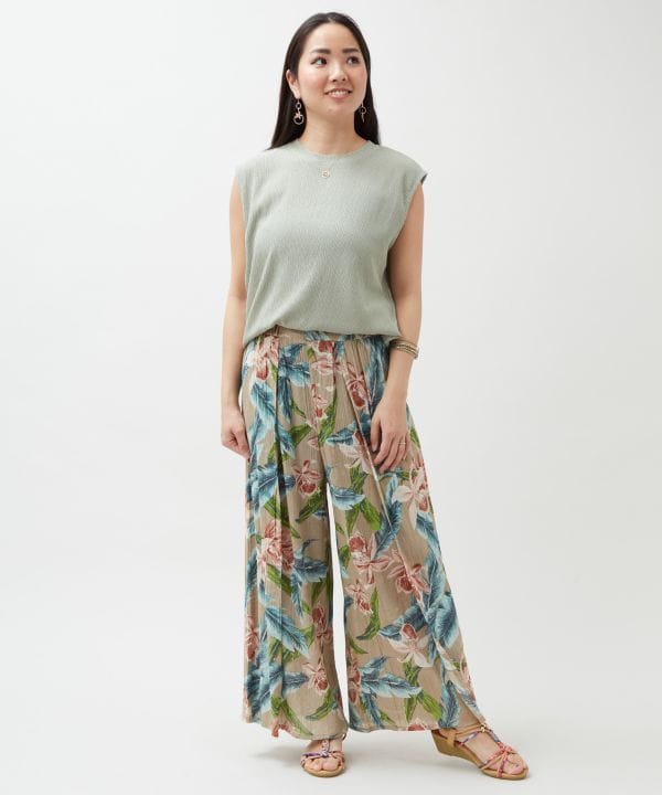 �J�C�~�i�~�s�n�o