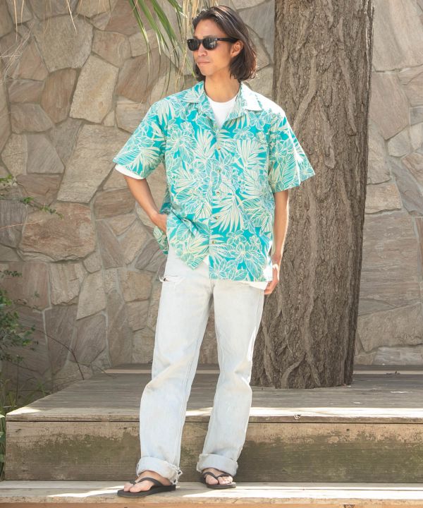 �n�J���E�����Y�V���c