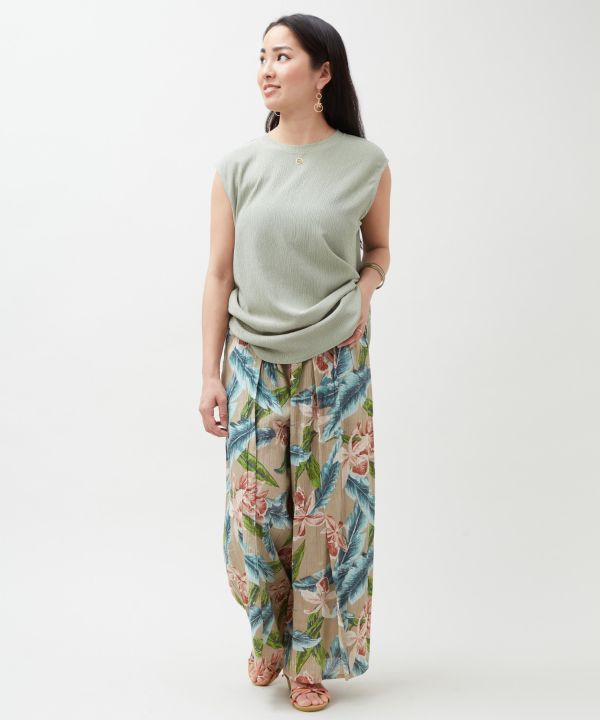 �n�J���E�p���c