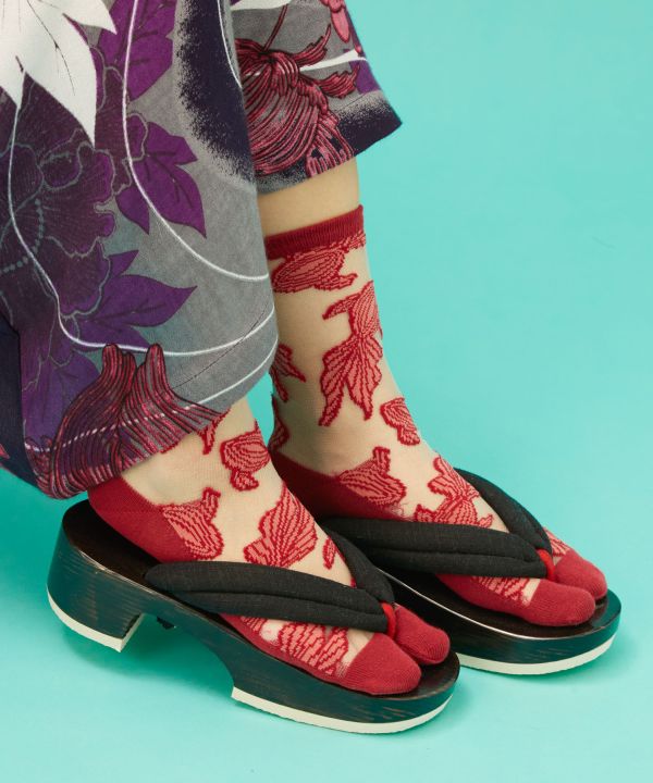 �J���[���ʁi23-25cm�j