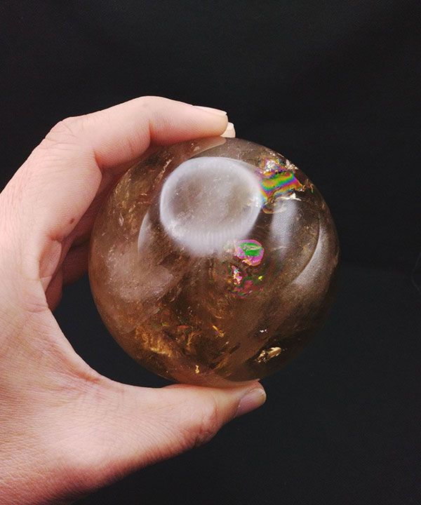 �y��_���z�V�R�V�g�����ۋ�