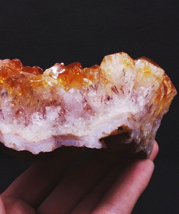 �y��_���z�V�g�����N���X�^�[506g