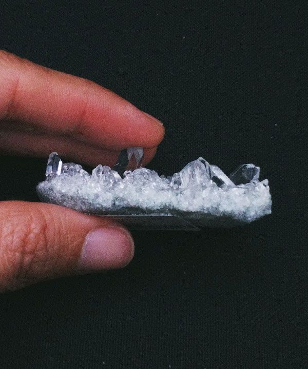 �y��_���z�q�}�����N���X�^�[31g