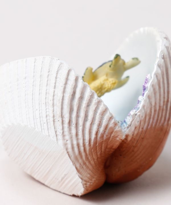 �z�k�C���V�F���I�[�i�����g�r