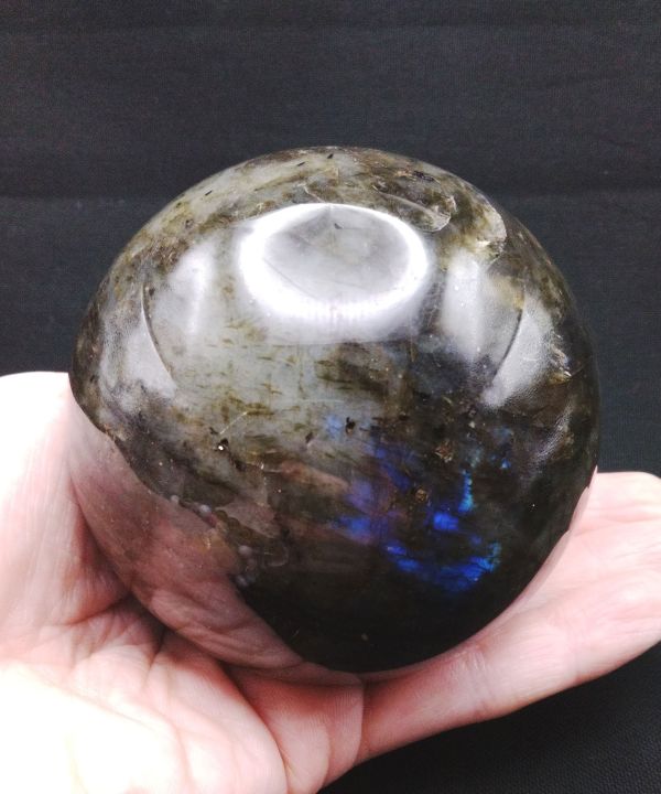 �y��_���z���u���h���C�g�ۋ�640g