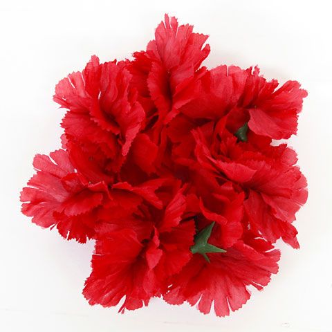 カーネーションポニー Red Kahiko カヒコ 公式通販