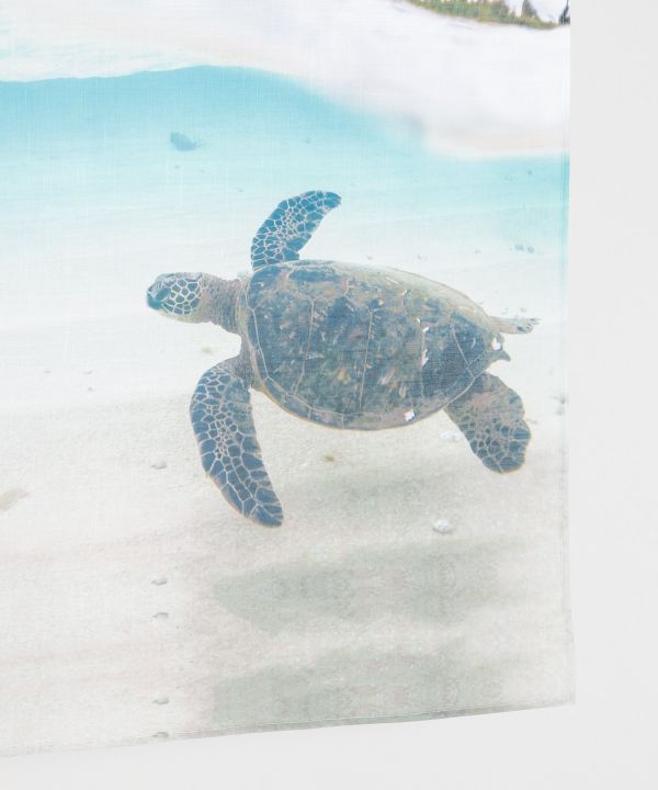 �J�i�j�t�H�g�p�[�e�[�V����