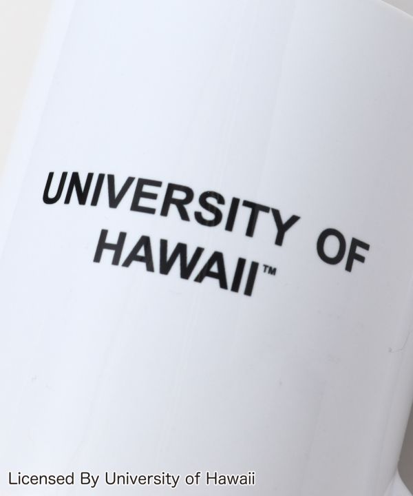 【食器】レインボーマグ【University of HAWAII】