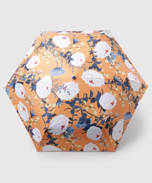 �ԕւ�܂肽���ݓ��P�y���J���p�E�Ռ���99.99%�z