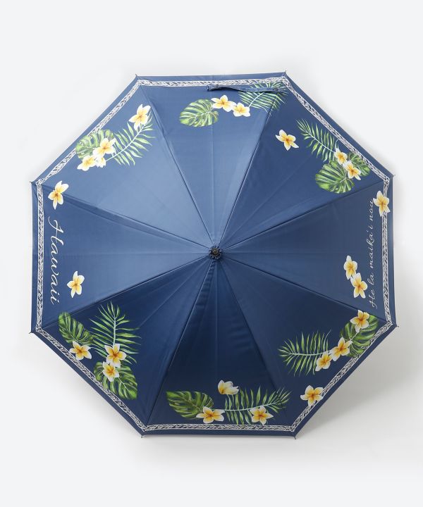 �y�Ռ���99.99%�ȏ�z�P�n�E���j�P�i���J���p�j