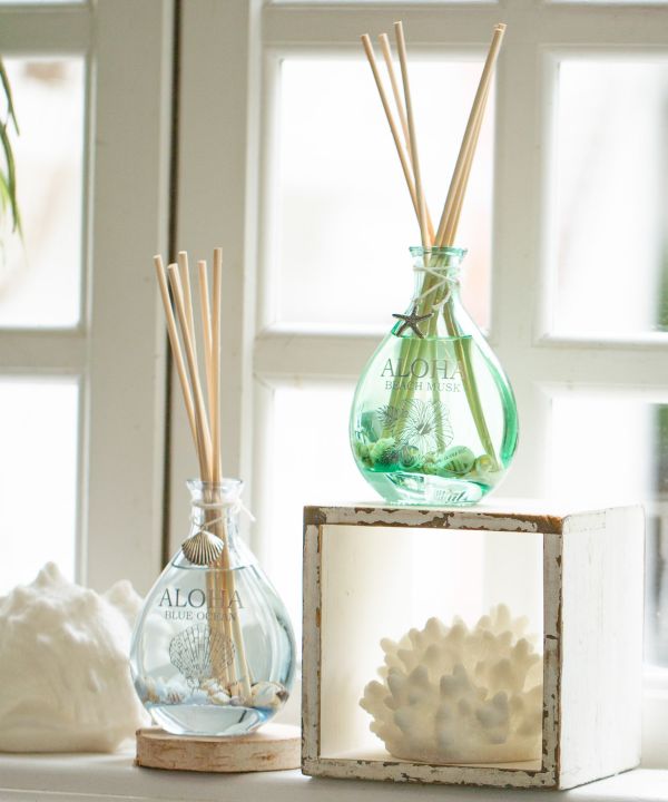 �v�v�i���f�B�t���[�U�[