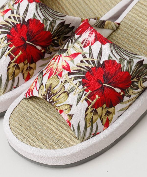 �P�C�n���C�X���b�p