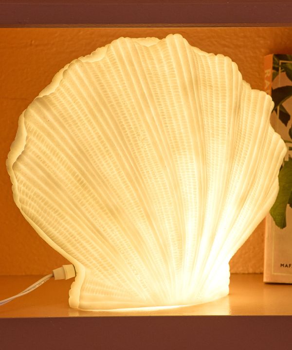 ���m�V�F�������v �k