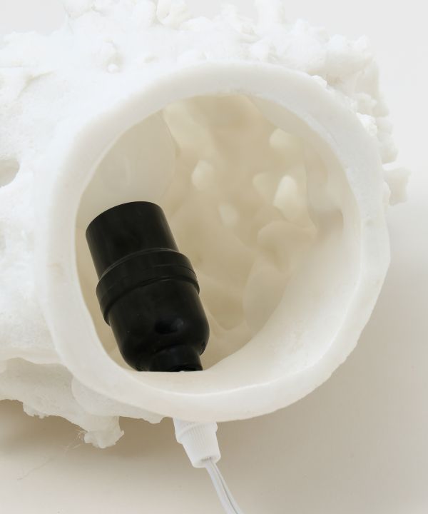 ���m�R�[���������v �k